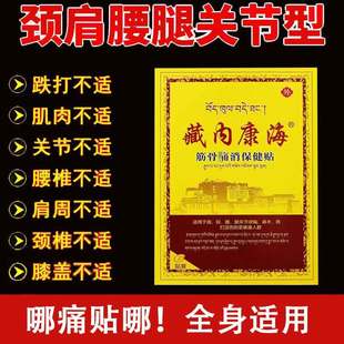 藏内康海筋骨痛保健贴缓解跌打损伤扭伤腰腿关节不适贴膏