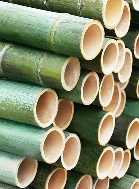 竹子杆造景毛竹竿空心绿色新鲜婚庆竹道具幼儿园环创大小竹筒花器