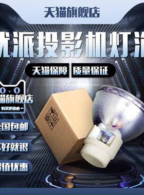 ViewSonic优派PJD7830HDL/VS14191/PJD7820HD/PJD7822HDL/PJD7831HDL/PJD7326/PJD7526W投影机仪灯泡
