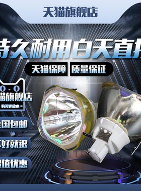 Optoma奥图码EX850/EX855/EW860/EW865/DZ3803/Z8050W/BL-FU400A/BL-FM400A/H265E投影机仪灯泡