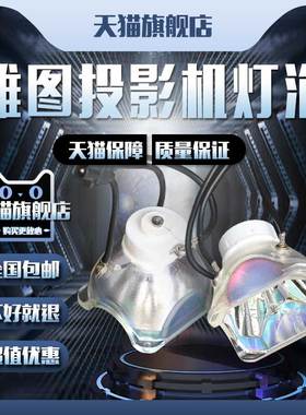 ACTO雅图LW4200F/LX5100/LX5200/LX4200/LX4300/LX4400/LX4500/LX4100F/LX8000/NSHA275YT投影机仪灯泡