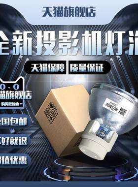 适用于Acto雅图DX227ST ASK A1270 索拓ST-PX960 长虹PDA301X/PDA300X/PDA300XT 索拓ST-PX960投影机仪灯泡