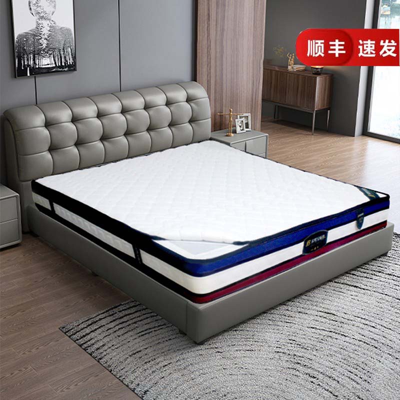 厦门乳胶单人经济型椰棕床垫定制