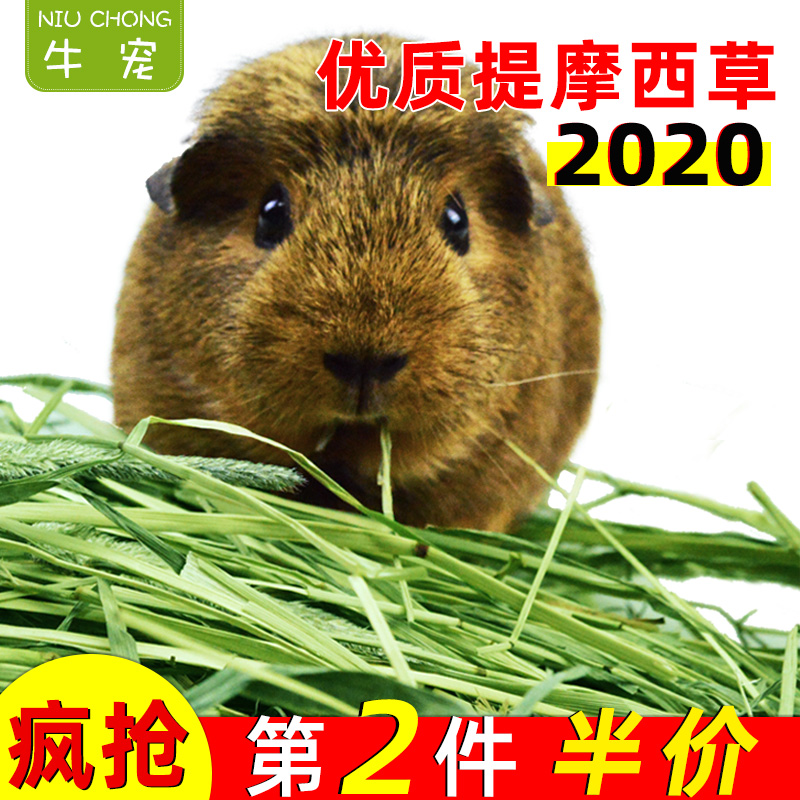 包邮2020年提摩西草500g兔子干草豚鼠提草龙猫饲料荷兰猪草粮