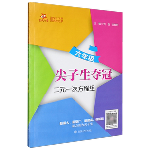 新华书店正版尖子生夺冠.二元一次方程组六年级