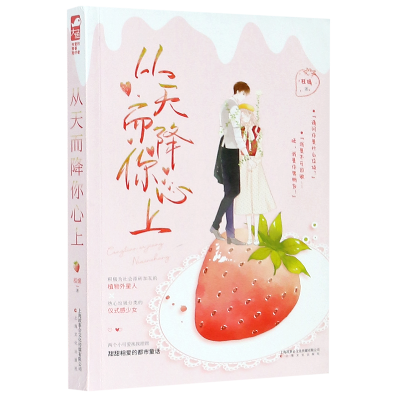 新华书店正版从天而降你心上