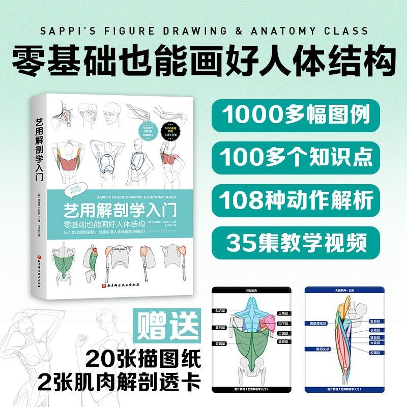 艺用解剖学入门