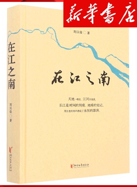 新华书店正版在江之南(精)