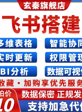飞书多维在线表格搭建定制代制作编程数据可视化BI分析统计自动化