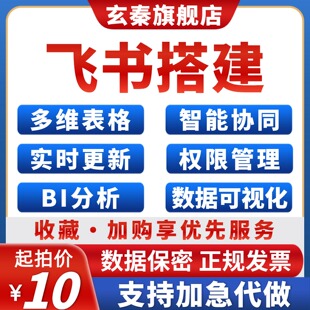 飞书多维在线表格搭建定制代制作编程数据可视化BI分析统计自动化