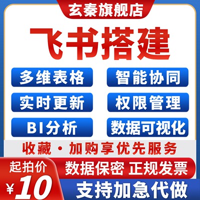 飞书多维在线表格搭建定制代制作编程数据可视化BI分析统计自动化