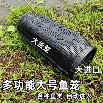 大号新型鱼笼地鱼笼沉底倒须口加大防逃网笼圆形鱼网笼新款圆形