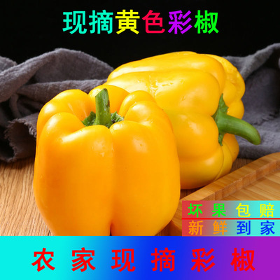 甜椒果蜜康新鲜采摘农家自种