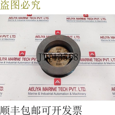 原装供应Spence Strainers International 125WTI 双门止回阀 200