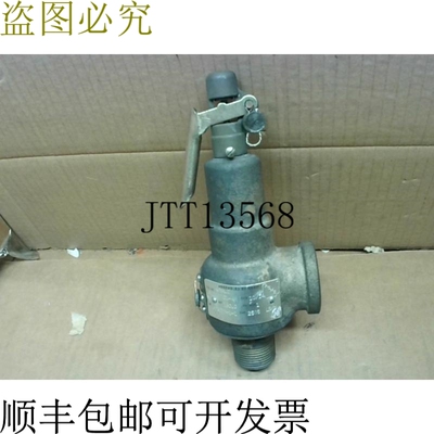原装供应Kunkle 阀门 6021FET01-AM 蒸汽应用压缩阀 1