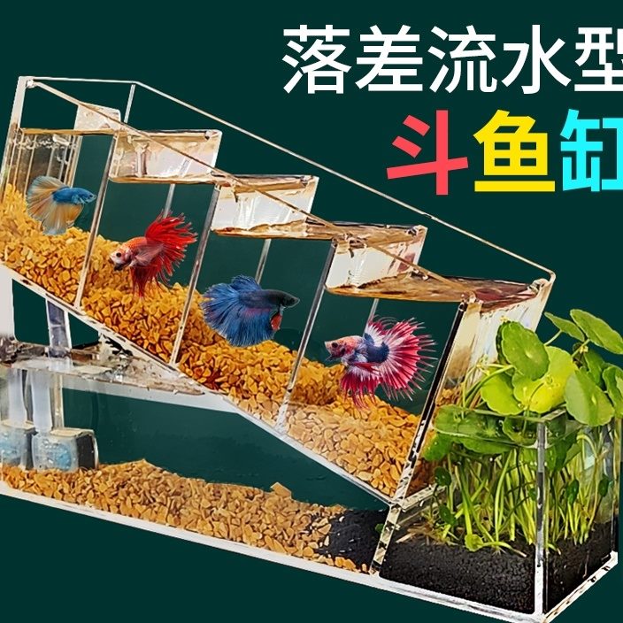 网红鱼缸创意阳台花式养鱼小型2021新款客厅精致室内