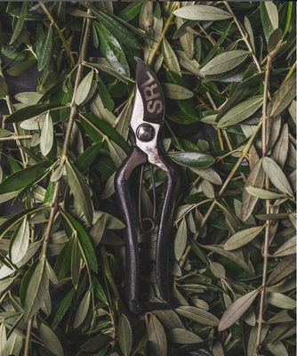 NBHDD园艺剪块根植物SRL工具剪刀图片