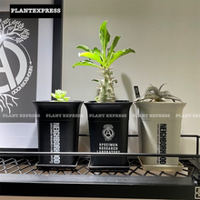 现货 NEIGHBORHOOD SRL 塑胶 NBHD 龙舌兰布纹球黑王丸块根花盆