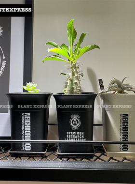 现货 NEIGHBORHOOD SRL 塑胶 NBHD 龙舌兰布纹球黑王丸块根花盆