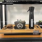 Основной бассейн Bonsai Green Plant Warling Booth Super Fine Spray, сочный садовый цветочный чайник