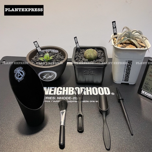 Соседство Японское в стиле блоки для посадки садоводство