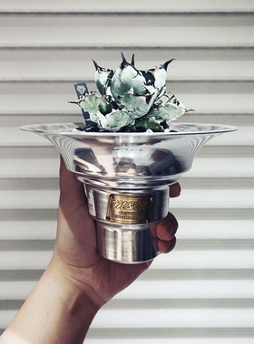 Masses m&m 龙舌兰块根沙生植物多肉金属花盆木村拓哉同款手工盆