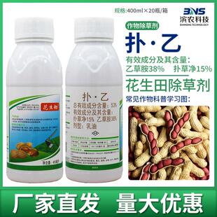 滨农科技扑草净乙草胺花生田芽前苗前土壤封闭杂草除草剂农药正品