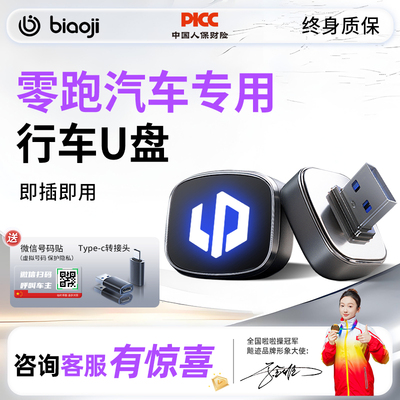 零跑汽车记录仪哨兵U盘