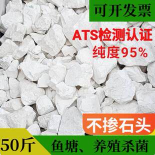 生石灰氧化钙粉 鱼塘畜牧消毒剂 农业杀菌石灰 树干刷白石灰块250