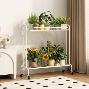 花架阳台置物架室内可移动铁艺多肉展示架客厅多层落地式花盆托架