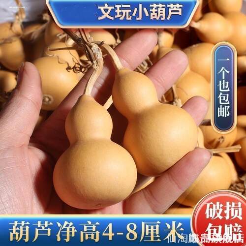 龙头葫芦手把件迷你diy小葫芦挂件盘玩文玩手捻绕指柔装饰摆件
