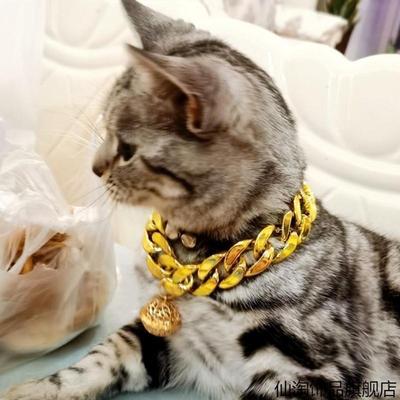 项链配饰狗狗铃铛项圈巴哥泰迪犬恶霸猫咪可拍照饰品宠物仿金链子