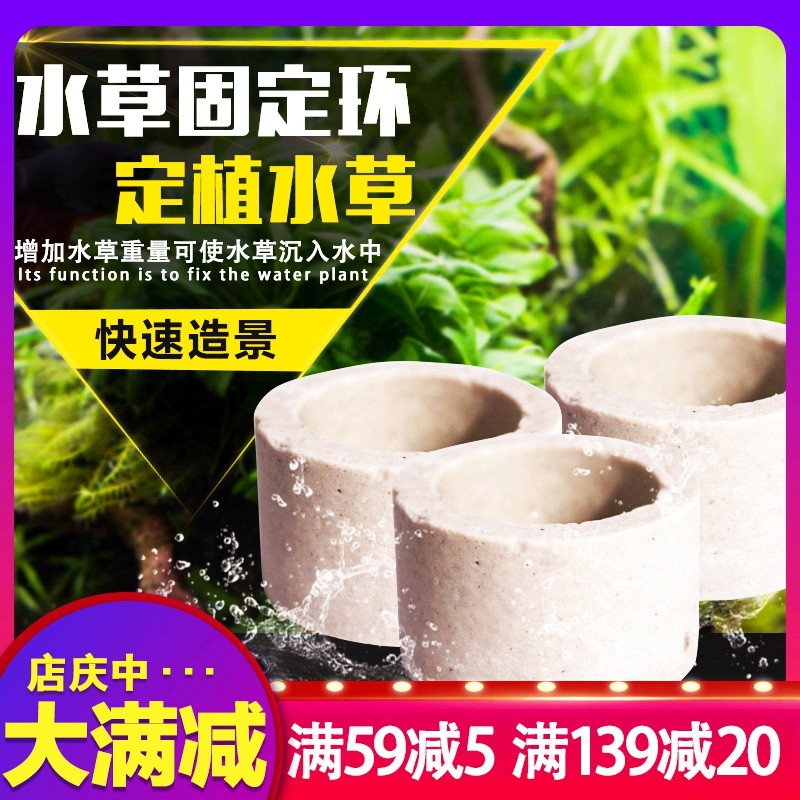 固定水草素材模板 固定水草图片下载 小麦优选