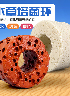 水草培菌环定植杯固定环大号生化种植净水杯新手养草水草固定底座