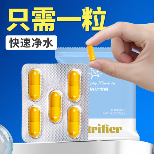 硝化细菌鱼缸专用胶囊净水活菌干粉养鱼水族消化细菌净水养鱼浓缩