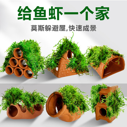 莫斯水草造景小鱼躲避屋
