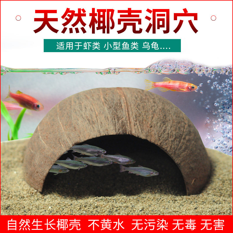天然椰壳躲避屋夏天降温造景鱼虾蜥蜴蛇仓鼠避洞乌龟椰子壳洞穴