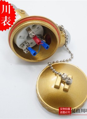 黄色偶头 d感温热电偶 WRN K型 PT100 长度 螺纹 非标定做