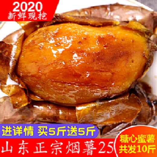 糖心蜜薯新鲜番薯山东红心流油红薯农家沙地烟薯25烤地瓜山芋10斤