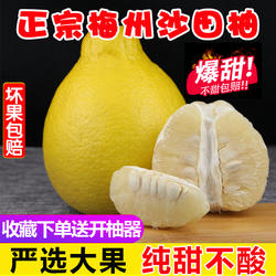 【纯甜】正宗梅州沙田柚梅县金柚新鲜当季水果批发白心肉孕妇柚子