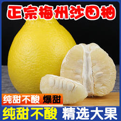 【纯甜】正宗梅州沙田柚新鲜当季水果梅县金柚柚子子批发白肉整箱