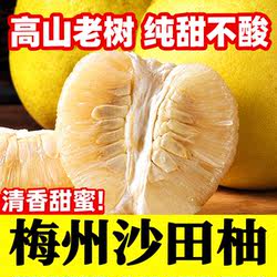 【纯甜】正宗梅州沙田柚梅县金柚新鲜当季水果批发白心肉孕妇柚子