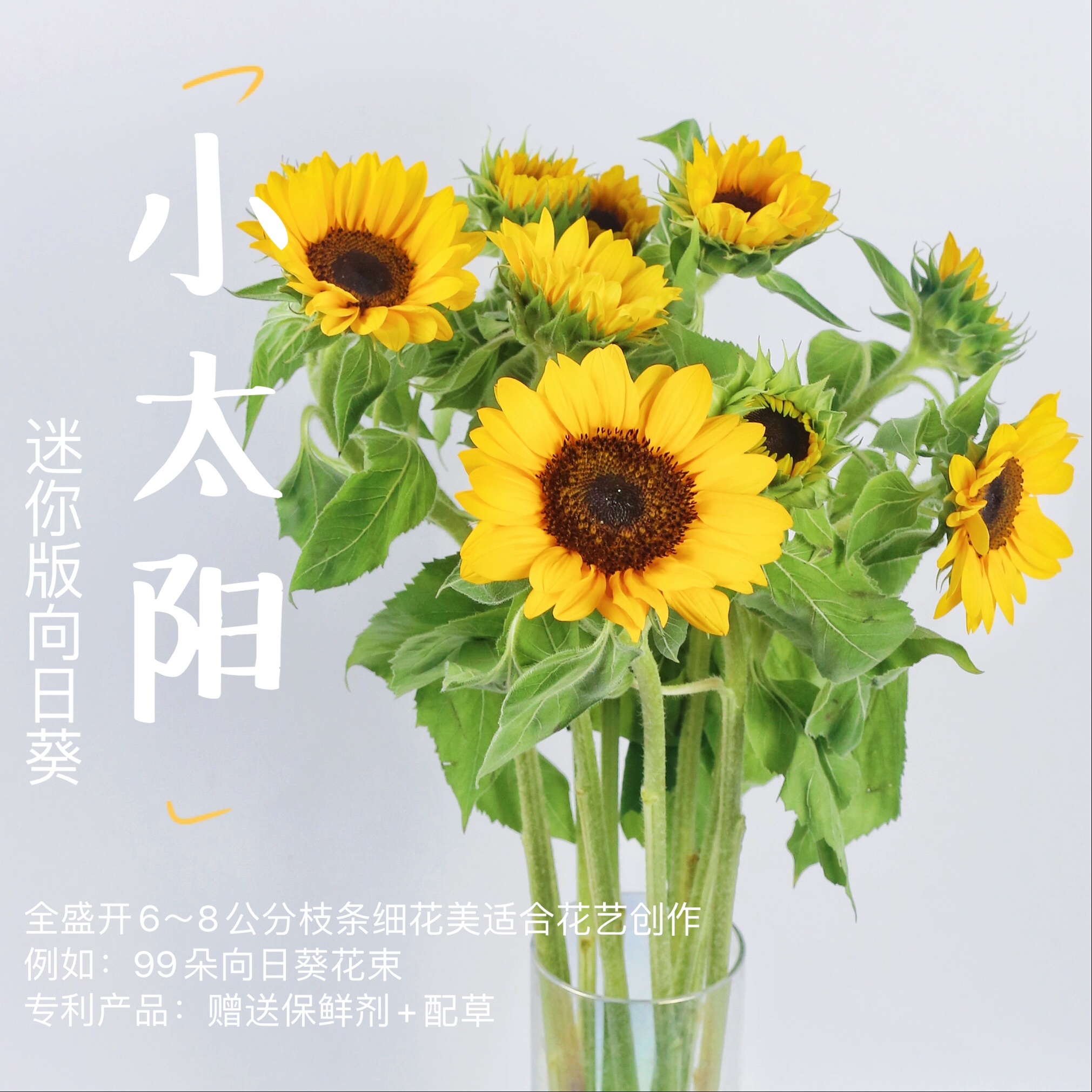 云南昆明向日葵鲜花混搭花束家用水养鲜切花斗南基地