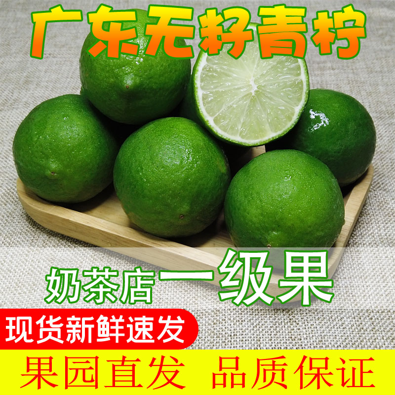 翠柠 自家果园 广东无籽青柠檬薄皮多汁新鲜采摘奶茶店专用塔西提