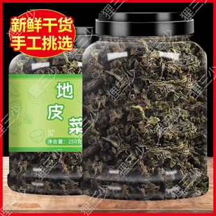 地皮菜干货免洗新鲜非野生特级无沙甘肃纯地软菜天然地木耳罐装