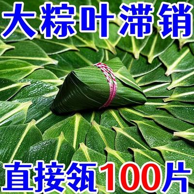 干粽叶新鲜包粽子专用叶大号广西批发端午的材料老式竹叶芦苇箬叶