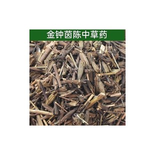 金钟茵陈 北刘寄奴铃茵陈 黄花茵陈阴行草