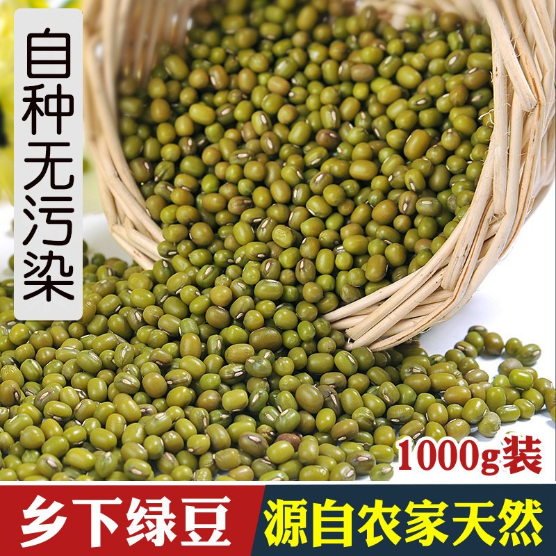 农家自种新货绿豆笨绿豆子绿豆汤粥原料五谷杂粮散装可发芽1000g