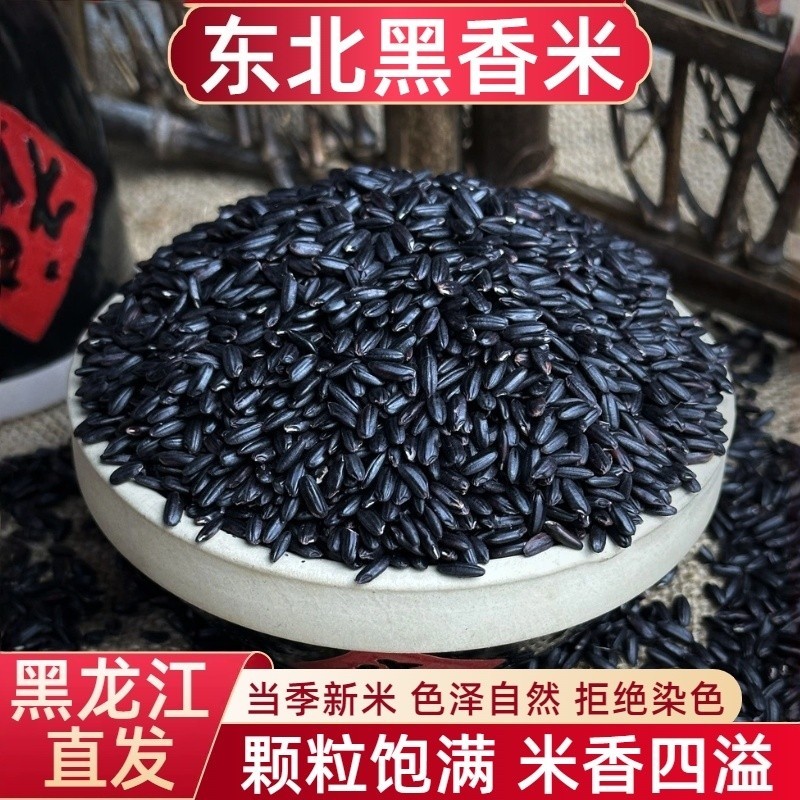 东北黑米黑香米糙米农家自产黑大米粗粮饭五谷杂粮粥健身主食5斤