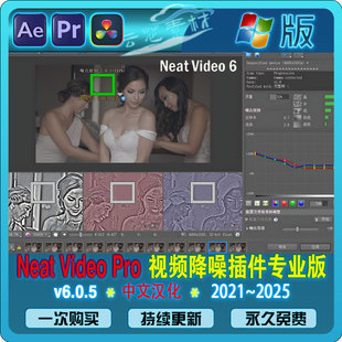Win版 中文汉化 Neat Video Pro 6.0.5 AE/PR/达芬奇视频降噪插件